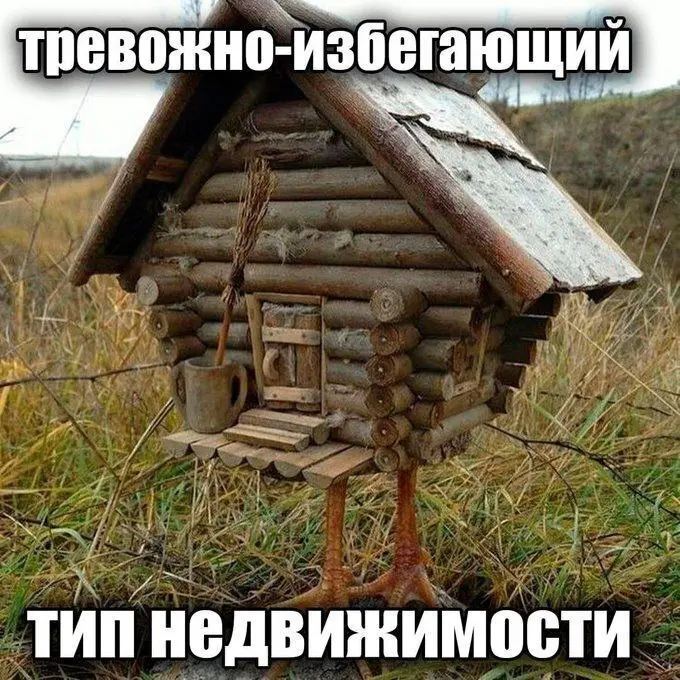 Подборка тупого юмора для поднятия настроения 29.09.2026