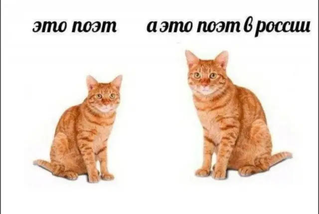 Смешные мемы - 08.09.2026