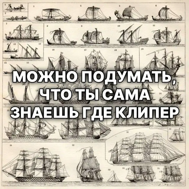 Смешные мемы - 14.09.2026