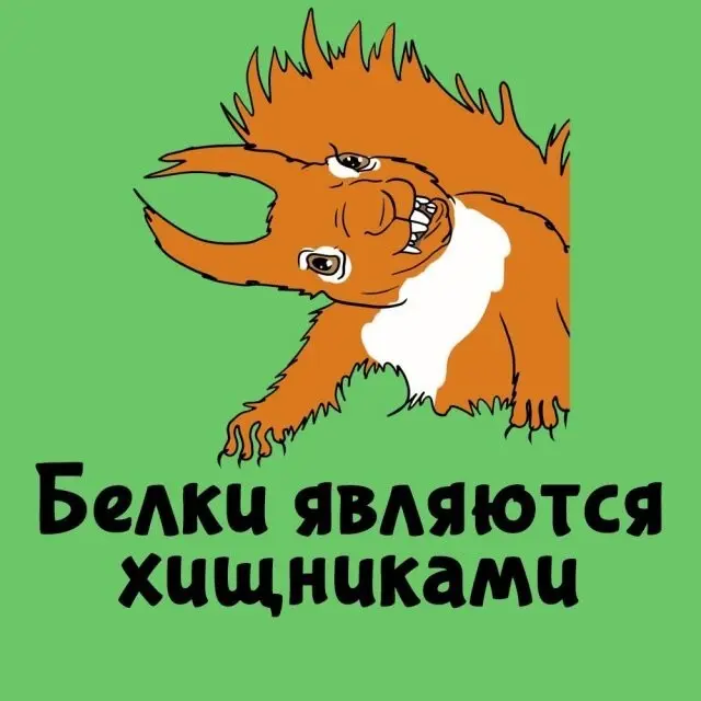 Интересные факты на все случаи жизни 21.09.2026
