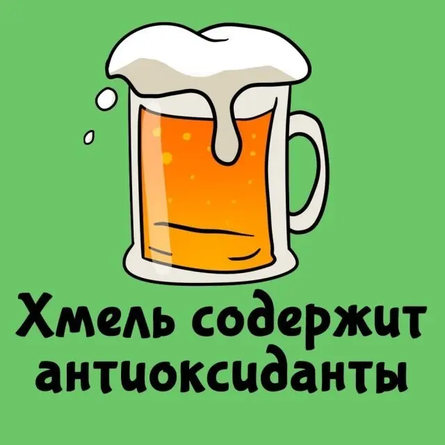 Интересные факты на все случаи жизни 23.09.2026