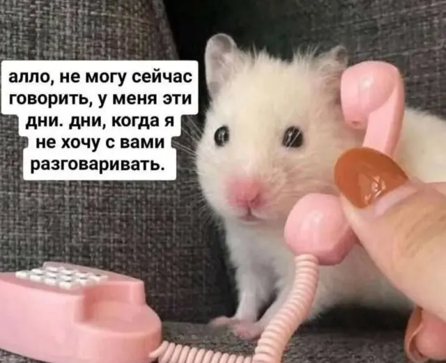 Немного юмора с просторов соцсетй 25.09.2026