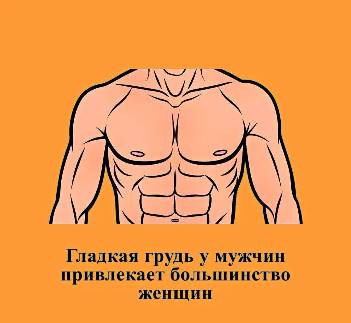 Сексуальная правда: 15 фактов, которым не научат в школе 02.09.2026