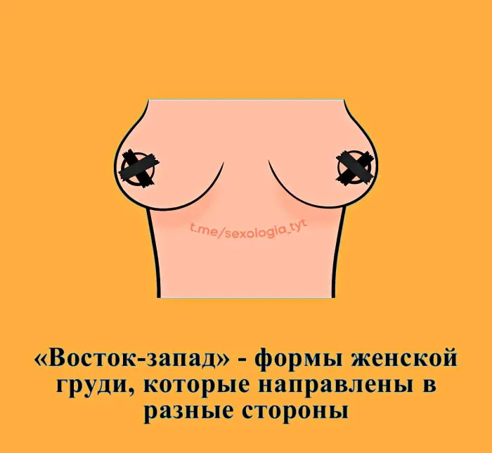 Сексуальная правда: 15 фактов, которым не научат в школе 04.08.2026