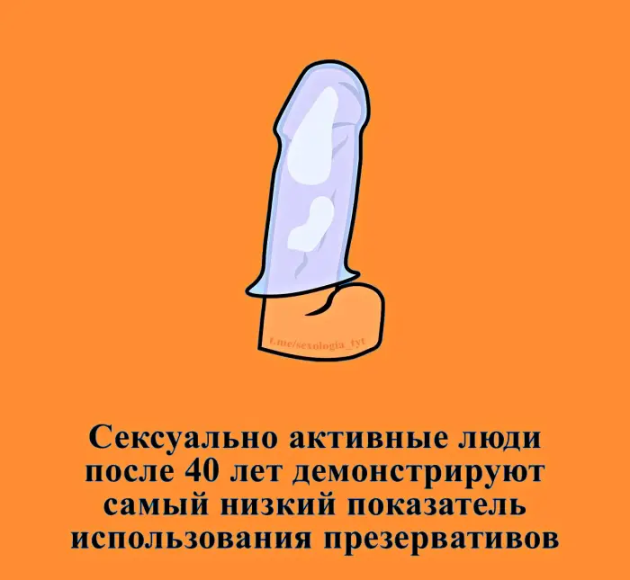 Сексуальная правда: 15 фактов, которым не научат в школе 08.09.2026