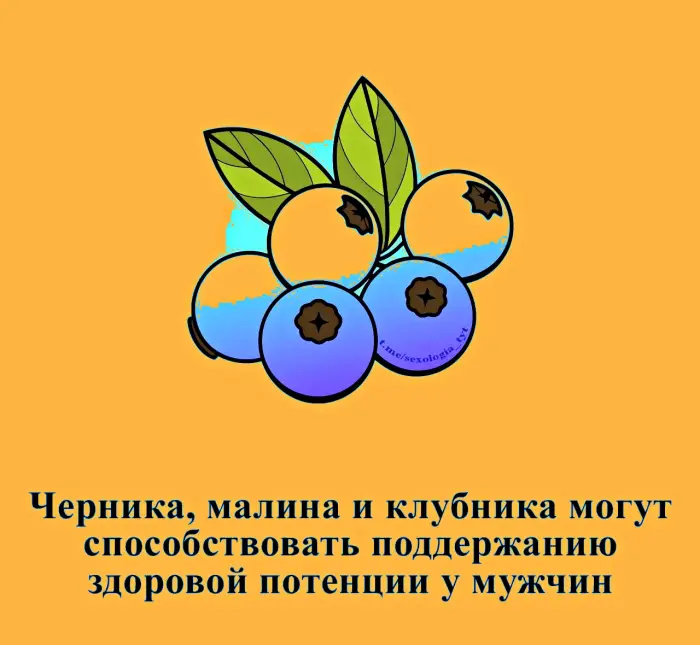 Сексуальная правда: 15 фактов, которым не научат в школе 15.09.2026