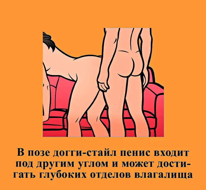 Сексуальная правда: 15 фактов, которым не научат в школе 18.09.2026