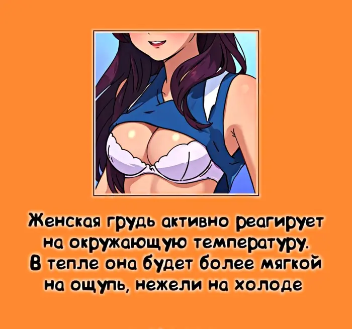 Сексуальная правда: 15 фактов, которым не научат в школе 22.09.2026