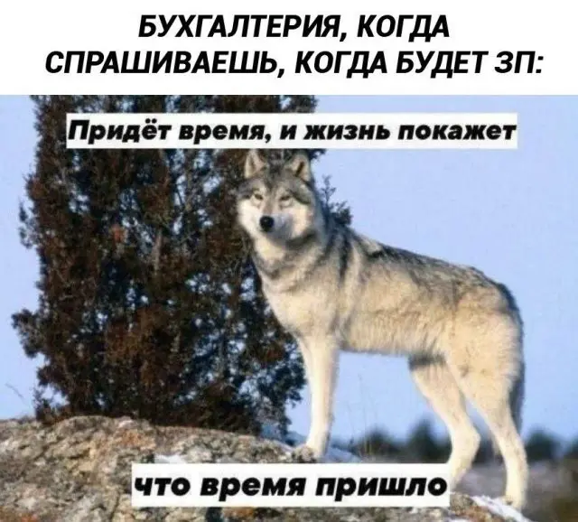 Смешные картинки - 01.10.2026
