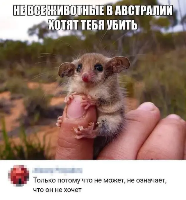Смешные мемы - 05.10.2026