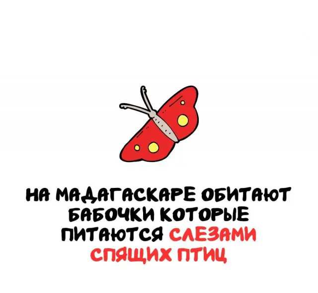 Интересные факты на все случаи жизни 23.10.2026