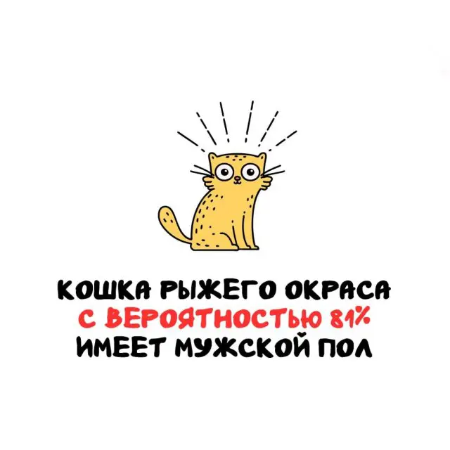 Интересные факты на все случаи жизни 26.10.2026