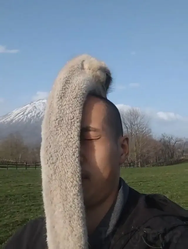 Оказывается, страусы любят лысых людей