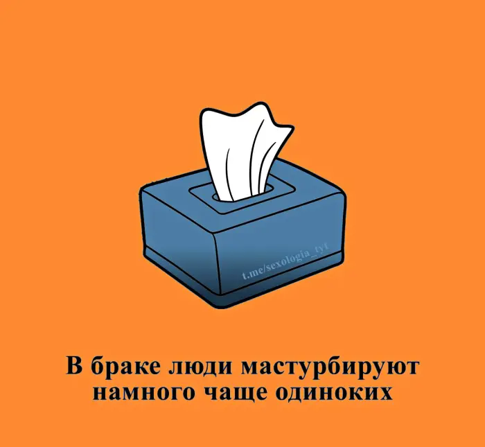 Сексуальная правда: 15 фактов, которым не научат в школе 16.10.2026