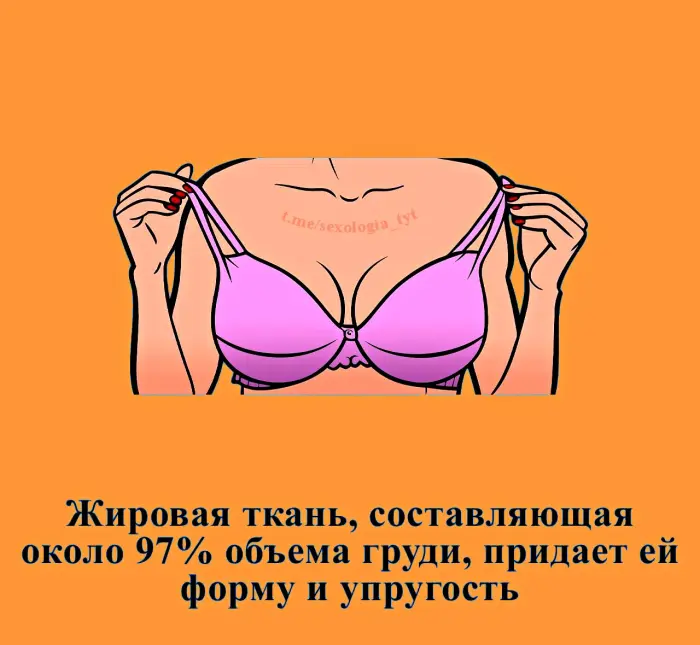 Сексуальная правда: 15 фактов, которым не научат в школе 19.10.2026