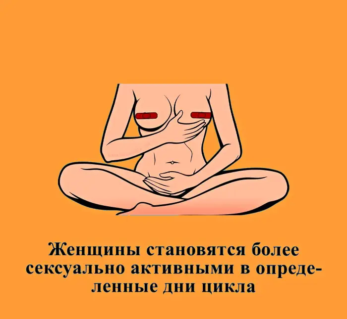 Сексуальная правда: 15 фактов, которым не научат в школе 21.10.2026