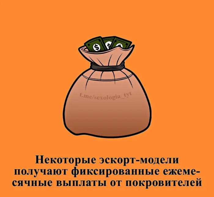 Сексуальная правда: 15 фактов, которым не научат в школе 26.10.2026